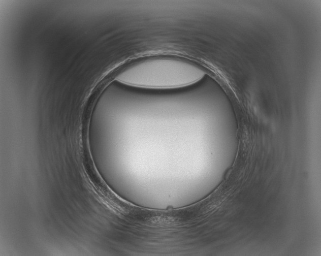 X0000084000535200702160759