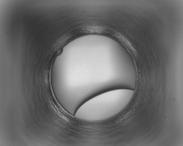 X0000084000537200702160759