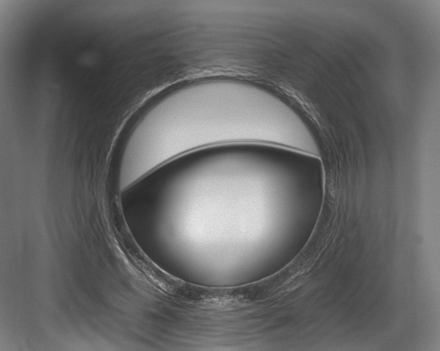 X0000084000540200702160759