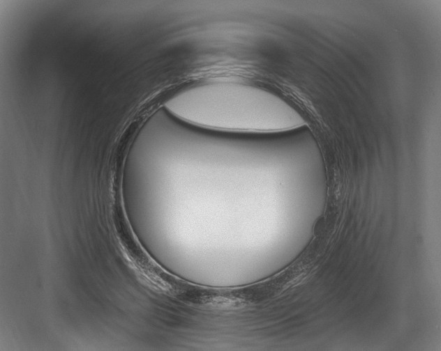 X0000084000542200702160759