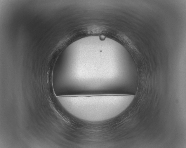 X0000084000543200702160759