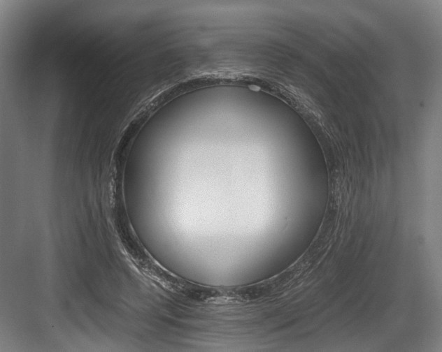 X0000084000544200702160759