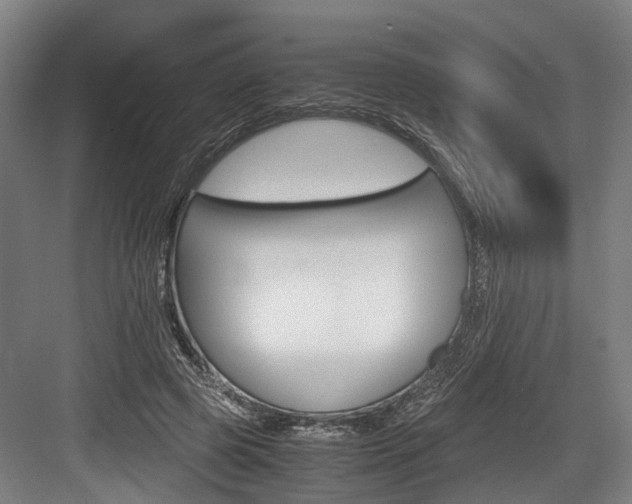 X0000084000545200702160759