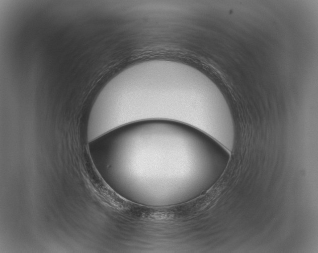 X0000084000546200702160759