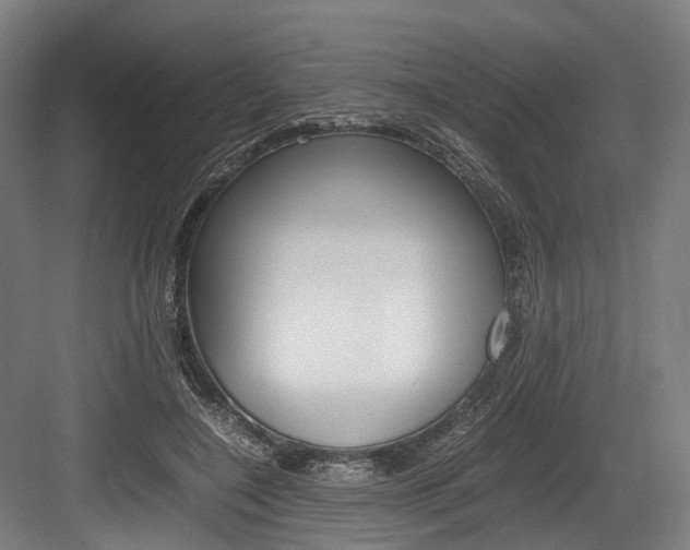 X0000084000548200702160759
