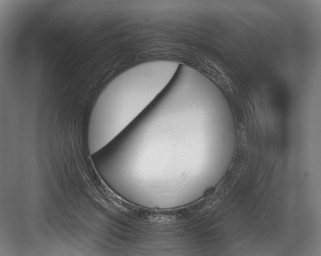 X0000084000549200702160759