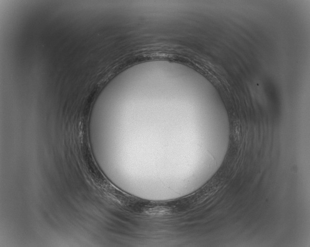 X0000084000551200702160759