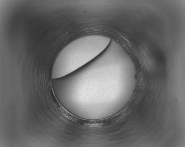 X0000084000553200702160759
