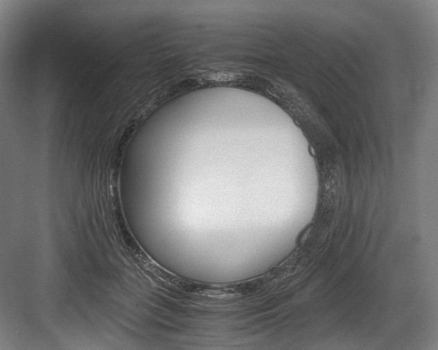 X0000084000555200702160759