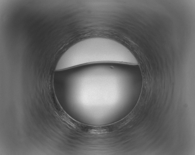X0000084000556200702160759
