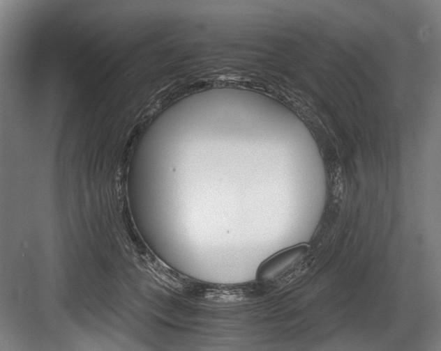X0000084000559200702160759