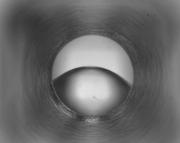 X0000084000560200702160759