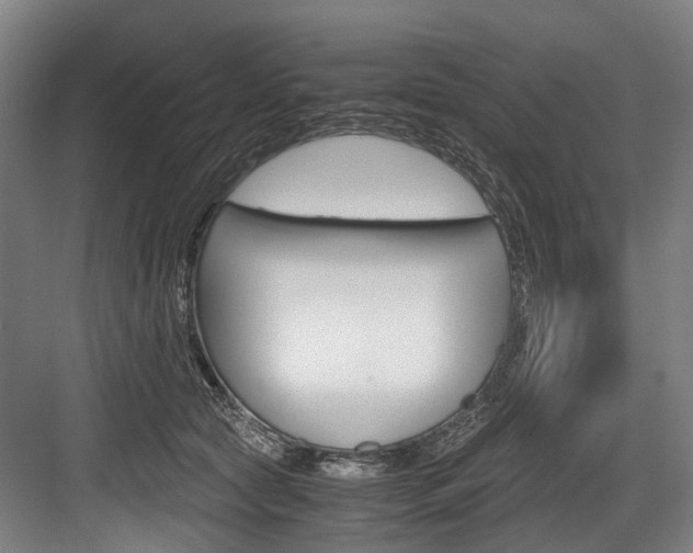 X0000084000561200702160759