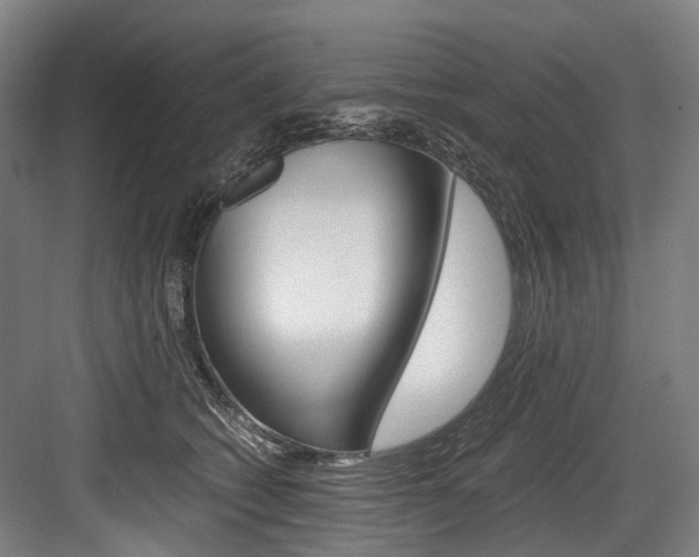 X0000084000562200702160759