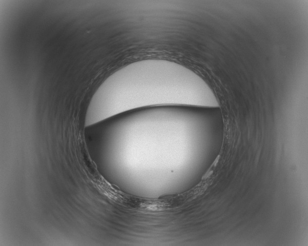 X0000084000564200702160759