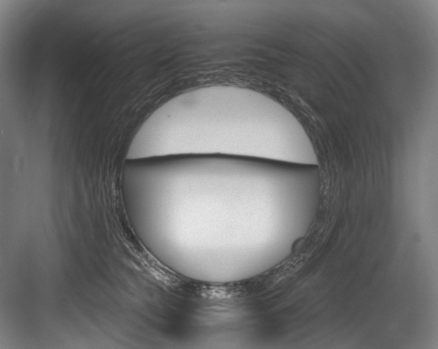 X0000084000565200702160759
