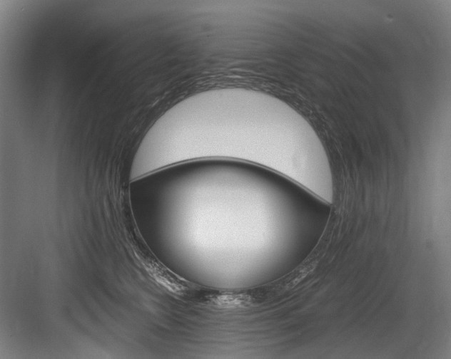 X0000084000566200702160759