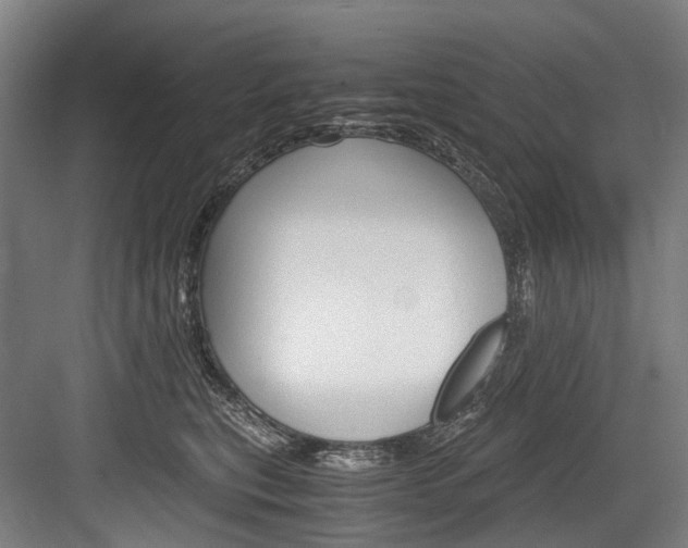 X0000084000567200702160759