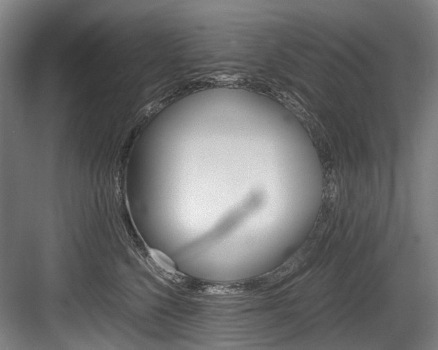X0000084000568200702160759