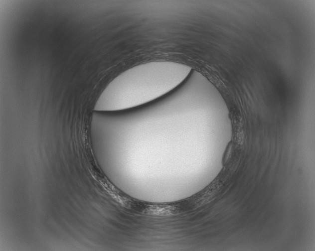 X0000084000569200702160759