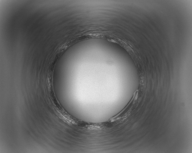 X0000084000572200702160759