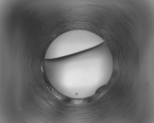 X0000084000575200702160759