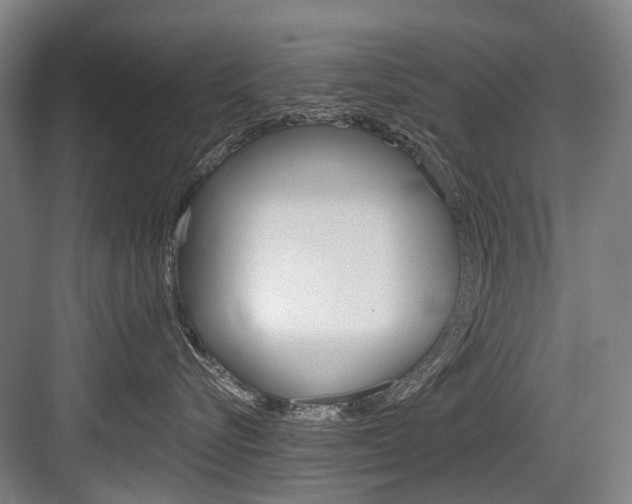 X0000084000576200702160759