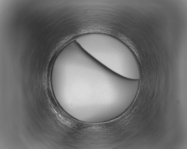 X0000084000578200702160759
