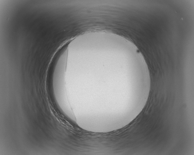 X0000084000579200702160759