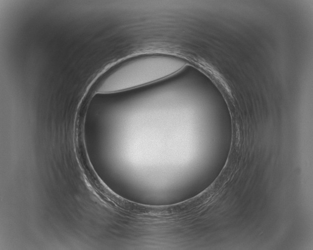 X0000084000580200702160759