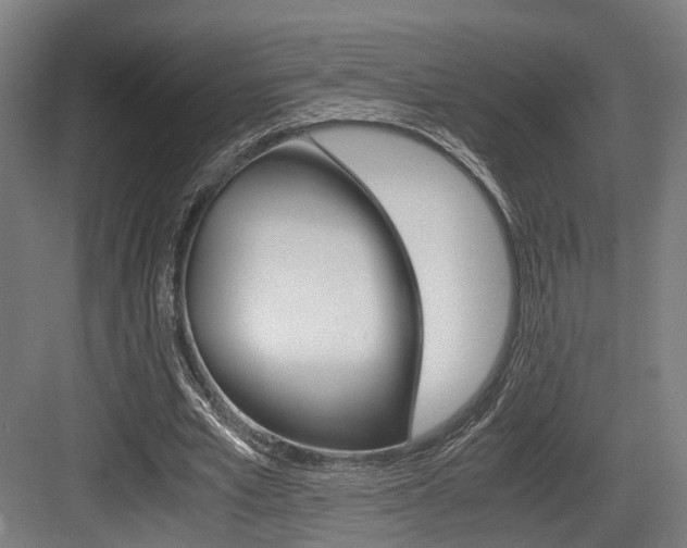 X0000084000581200702160759