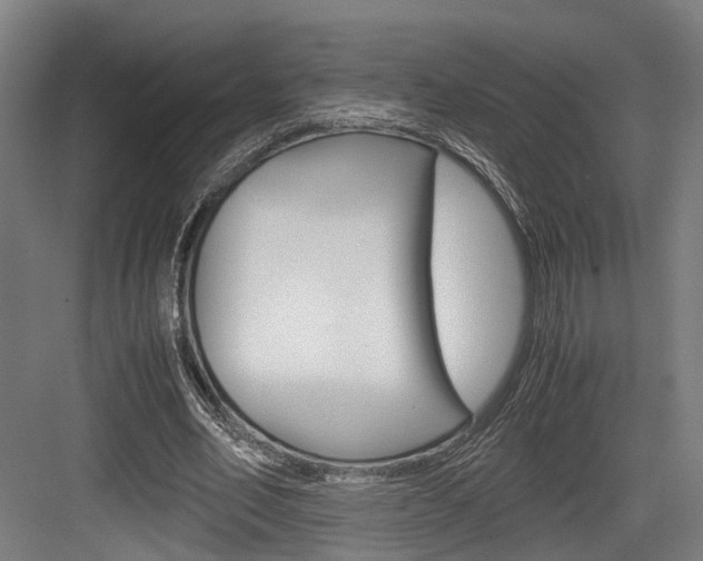 X0000084000582200702160759