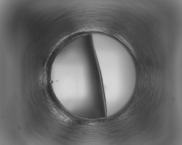 X0000084000584200702160759
