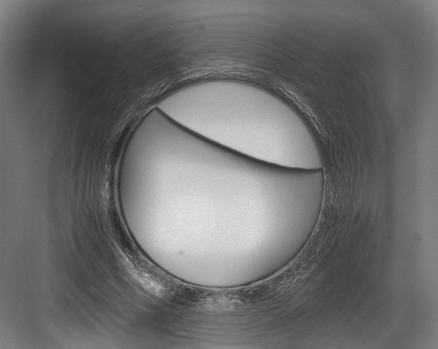 X0000084000586200702160758