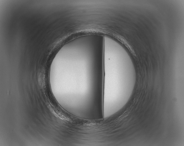 X0000084000588200702160758