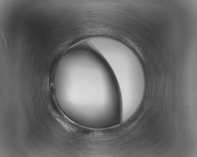 X0000084000589200702160758