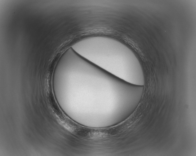 X0000084000590200702160758