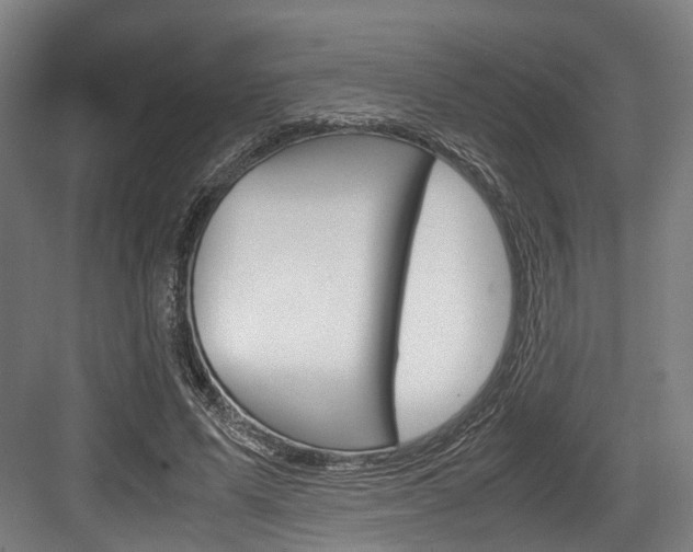 X0000084000591200702160758