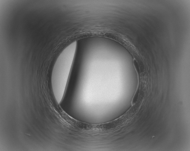 X0000084000593200702160758