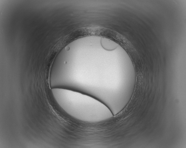 X0000084000594200702160758