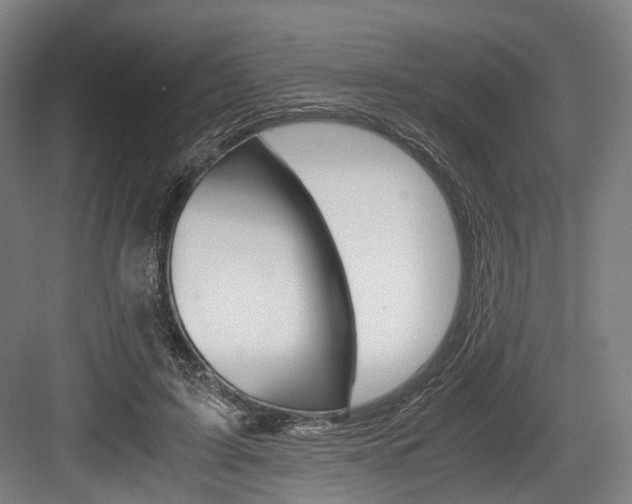 X0000084000595200702160758