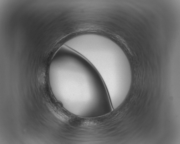 X0000084000596200702160758