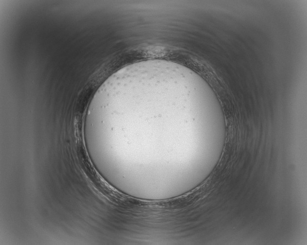 X0000084000598200702160758