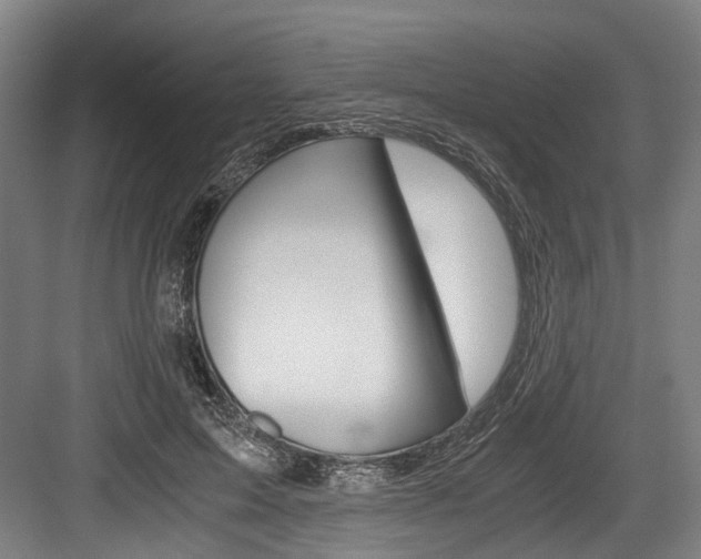 X0000084000599200702160758