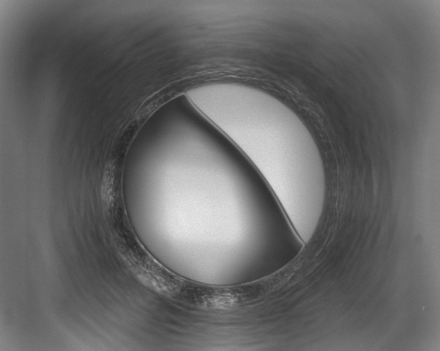 X0000084000600200702160758