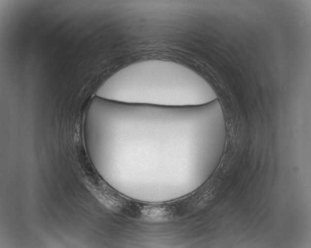 X0000084000602200702160758