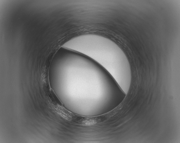 X0000084000604200702160758