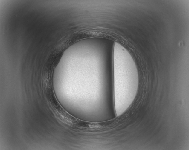 X0000084000605200702160758