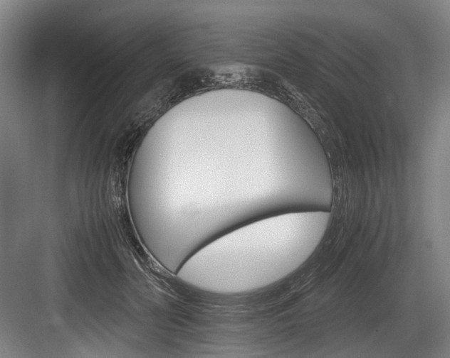 X0000084000606200702160758