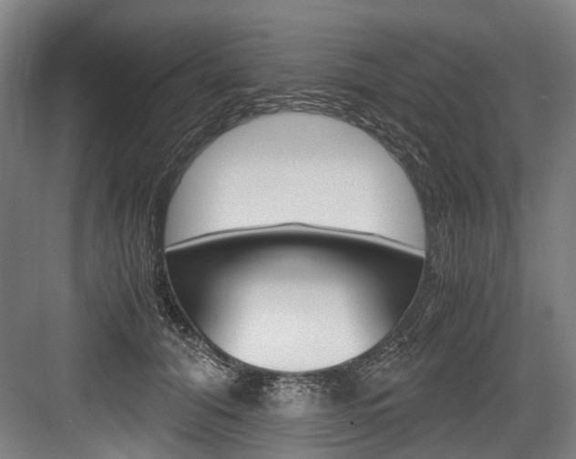 X0000084000608200702160758